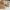 Remodeling in Baldwin Hills